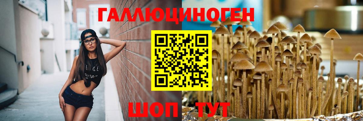 Галлюциногенные грибы прущие грибы Каменск-Шахтинский