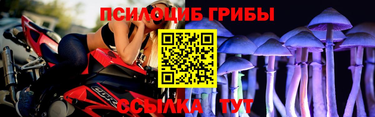 Каменск-Шахтинский  Псилоцибиновые грибы мухоморы  Вход с VPN 